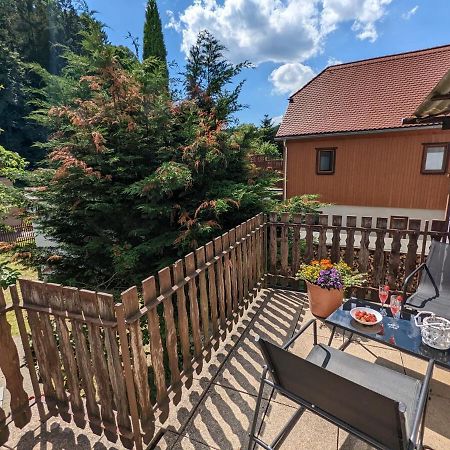 H2 - Urlaubsmagie - Garten, Pool, Terrasse, Grill Sebnitz Bagian luar foto