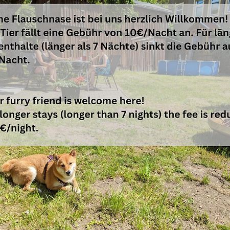 H2 - Urlaubsmagie - Garten, Pool, Terrasse, Grill Sebnitz Bagian luar foto