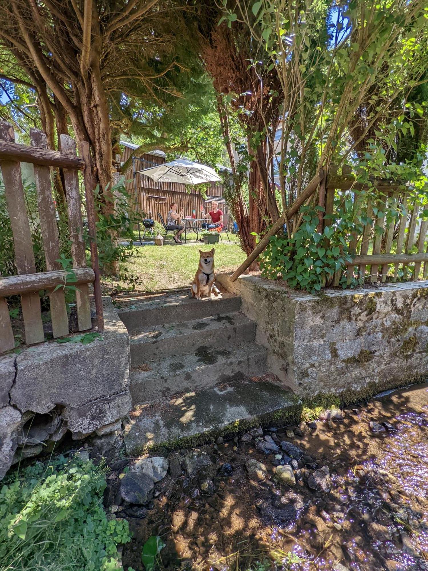 H2 - Urlaubsmagie - Garten, Pool, Terrasse, Grill Sebnitz Bagian luar foto