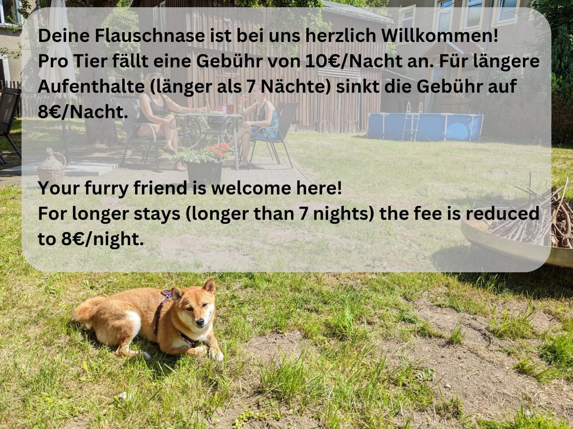 H2 - Urlaubsmagie - Garten, Pool, Terrasse, Grill Sebnitz Bagian luar foto